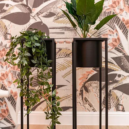 Luxury Tropical At Budapešť
